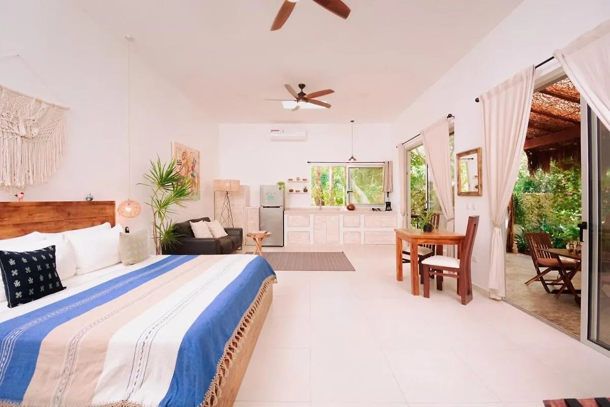 别墅 Casita Deva Stylish Mex Casita, Epic Rooftop Pool 图卢姆