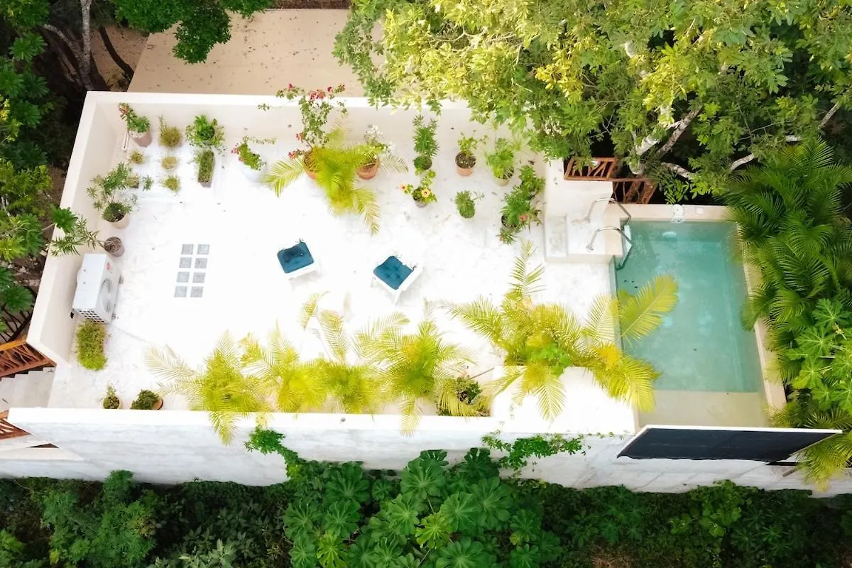 Casita Deva Stylish Mex Casita, Epic Rooftop Pool 图卢姆