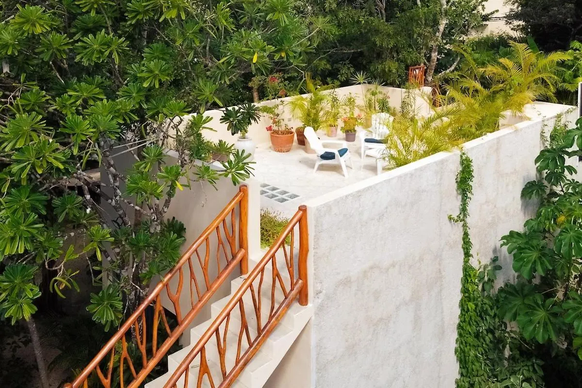 Casita Deva Stylish Mex Casita, Epic Rooftop Pool 图卢姆 别墅