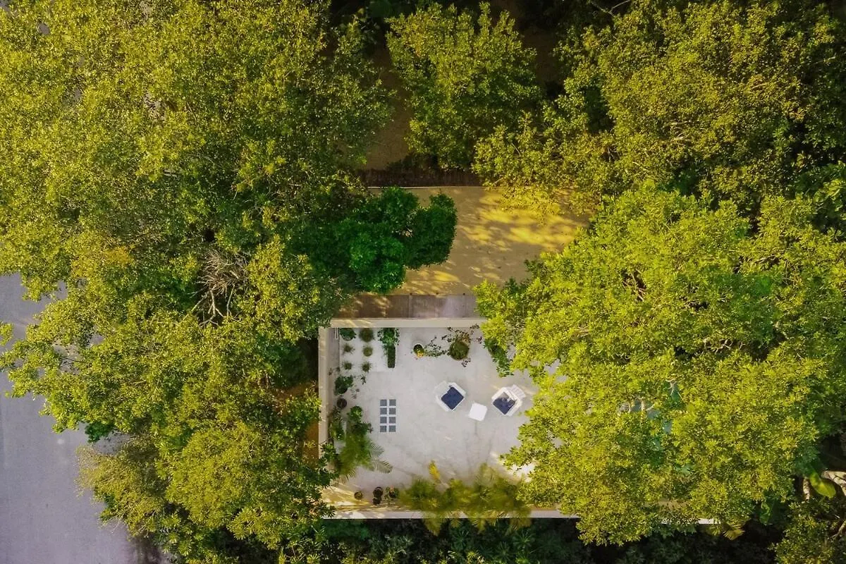 Casita Deva Stylish Mex Casita, Epic Rooftop Pool 图卢姆