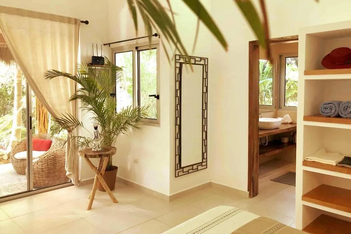 别墅 Casita Deva Stylish Mex Casita, Epic Rooftop Pool 图卢姆