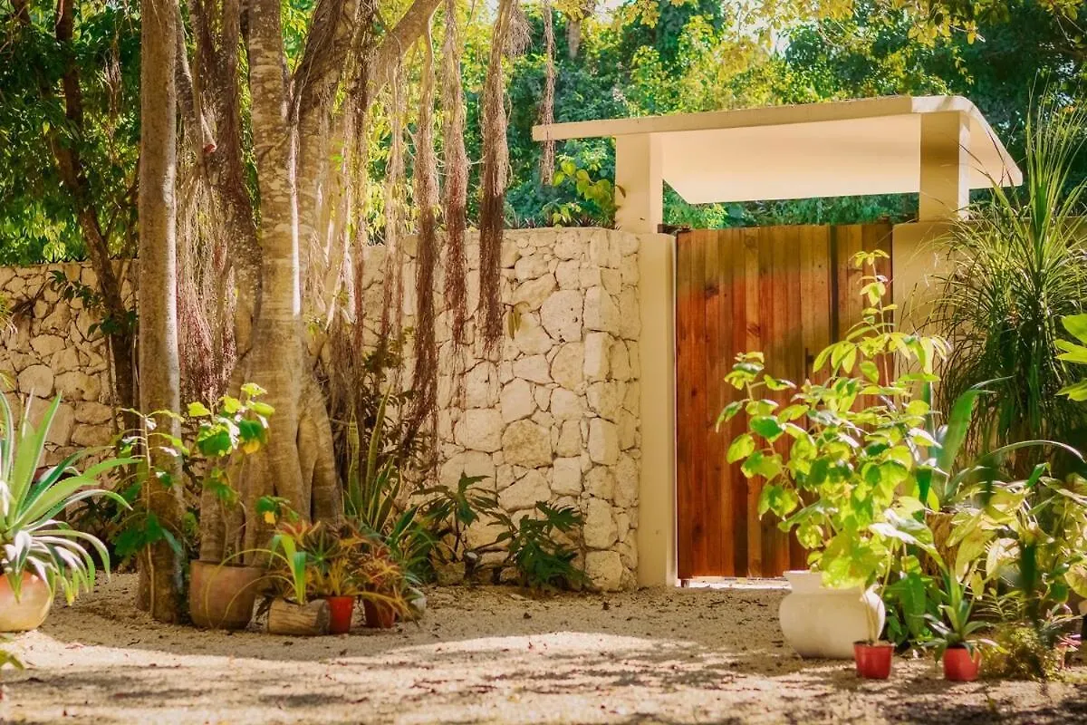 Casita Deva Stylish Mex Casita, Epic Rooftop Pool 图卢姆 墨西哥