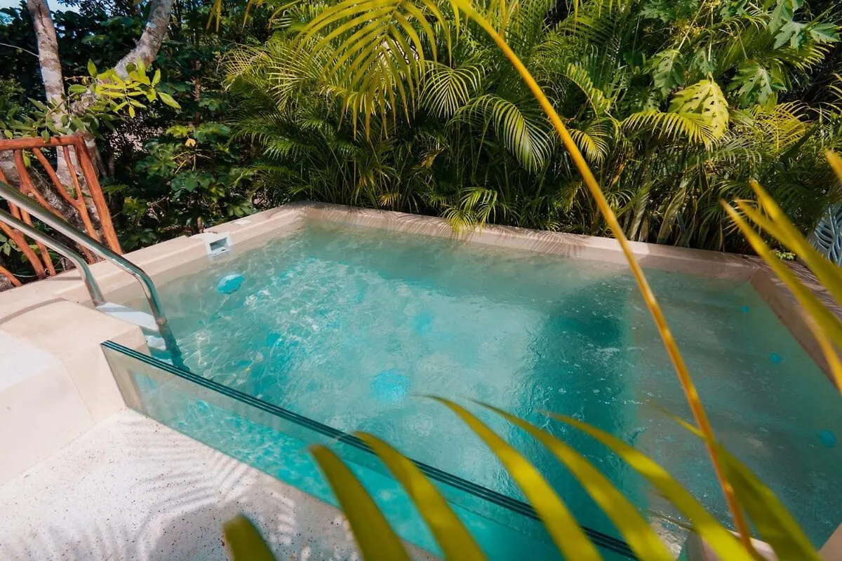 Casita Deva Stylish Mex Casita, Epic Rooftop Pool 图卢姆 0*,