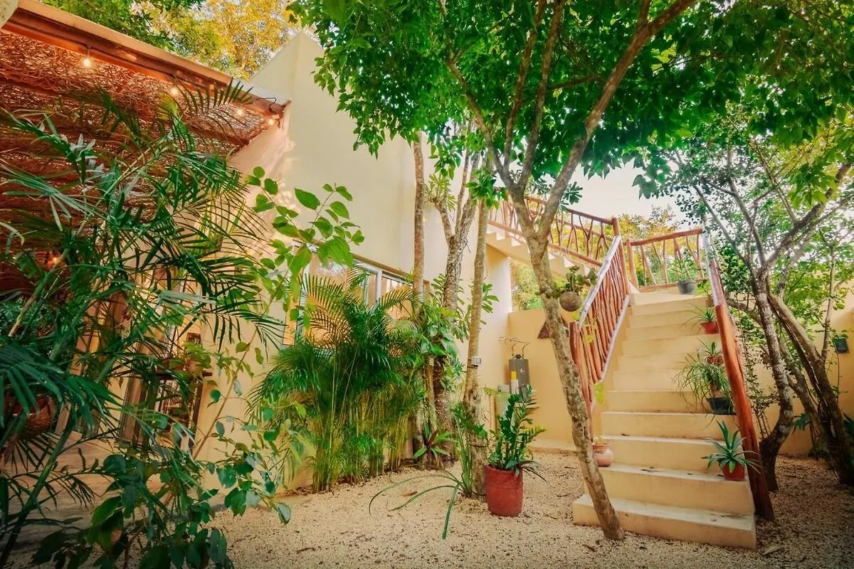 Casita Deva Stylish Mex Casita, Epic Rooftop Pool 图卢姆 别墅