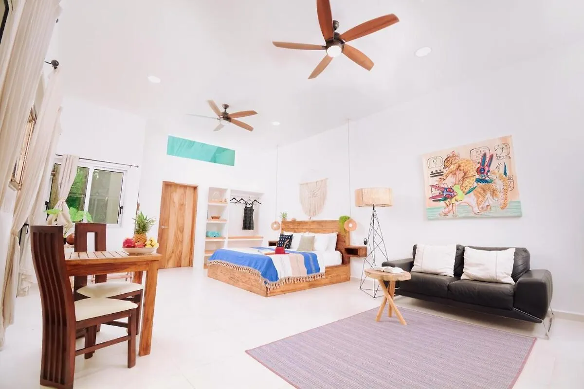 别墅 Casita Deva Stylish Mex Casita, Epic Rooftop Pool 图卢姆 墨西哥