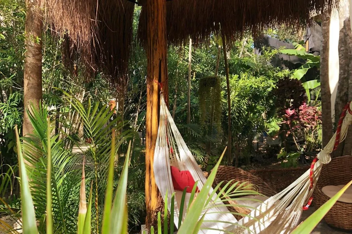 Casita Deva Stylish Mex Casita, Epic Rooftop Pool 图卢姆