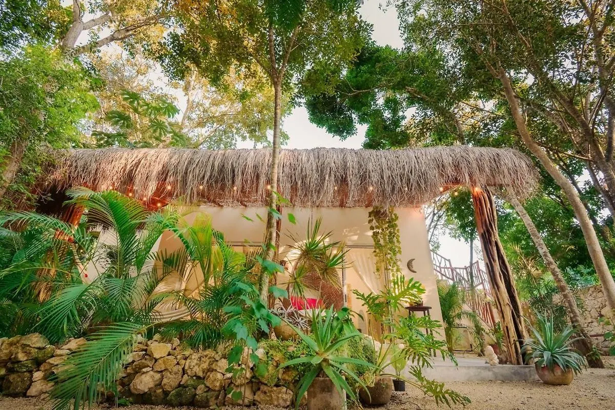 别墅 Casita Deva Stylish Mex Casita, Epic Rooftop Pool 图卢姆