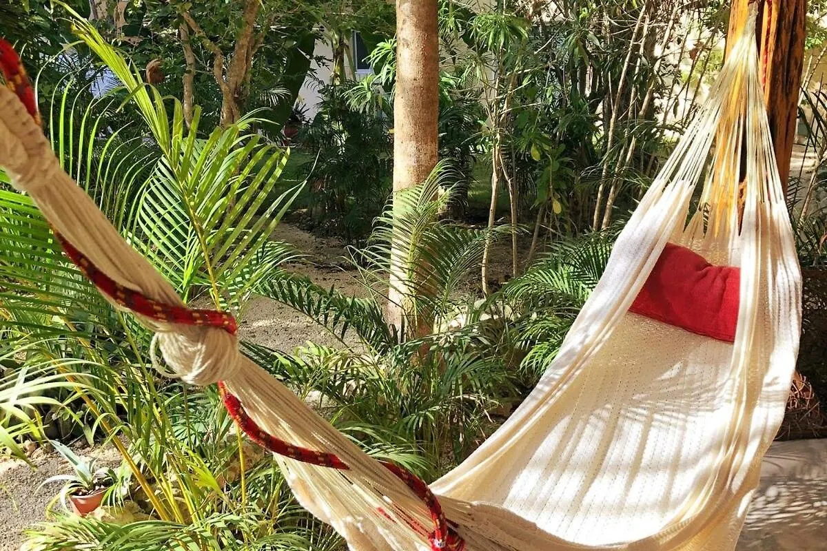 טולום Casita Deva Stylish Mex Casita, Epic Rooftop Pool 0*,